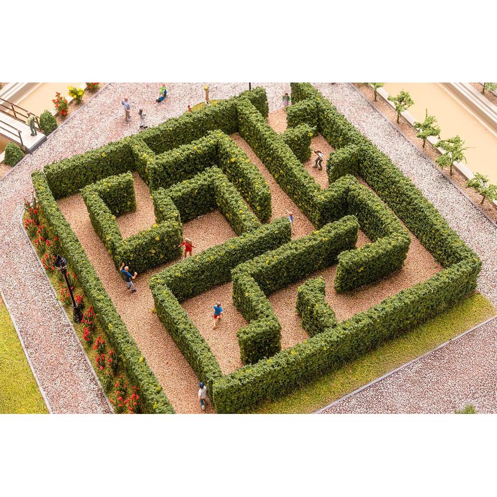 image2_HO Maze (2606)