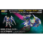 MGSD 00 Raiser