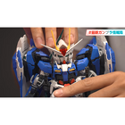 MGSD 00 Raiser