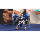 MGSD 00 Raiser