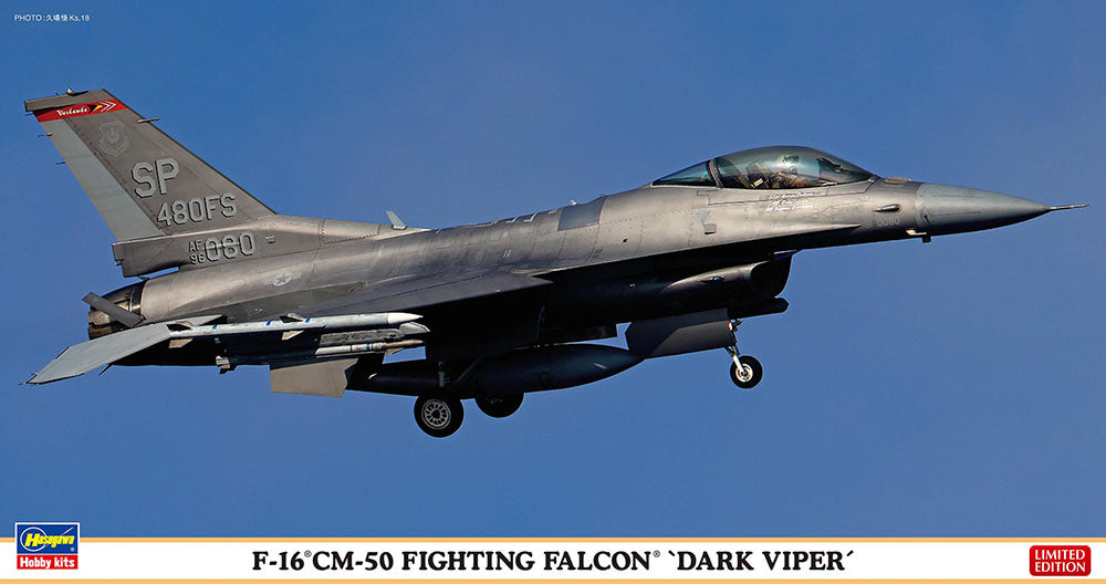 1/48 F-16CM-50 Fighting Falcon 'Dark Viper'