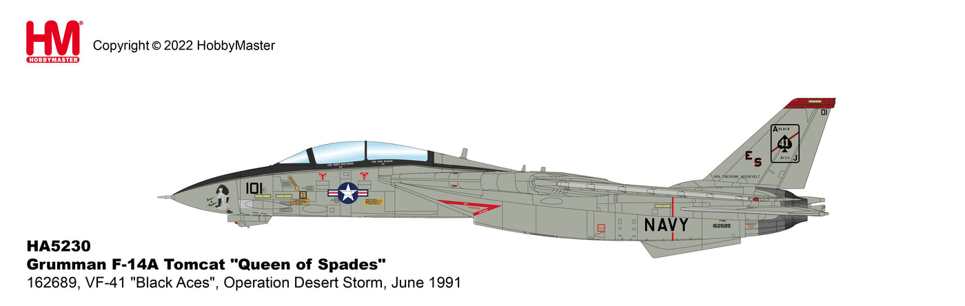 1/72 Grumman F14A Queen of Spades VF41 Black Aces
