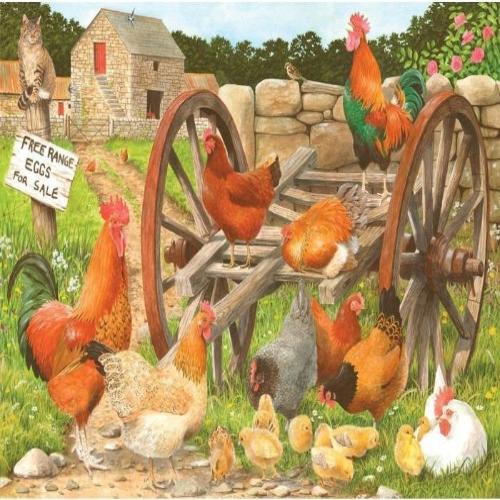 1000pc Kith & Kin Free Range Puzzle
