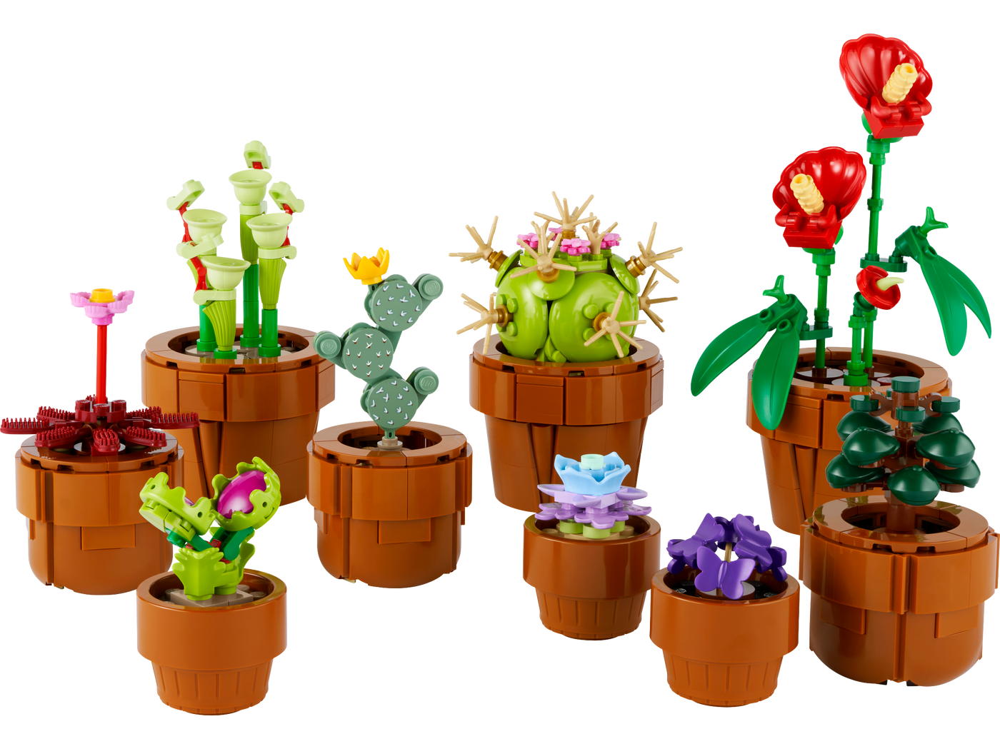 Tiny Plants_1
