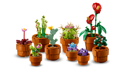 Tiny Plants_4