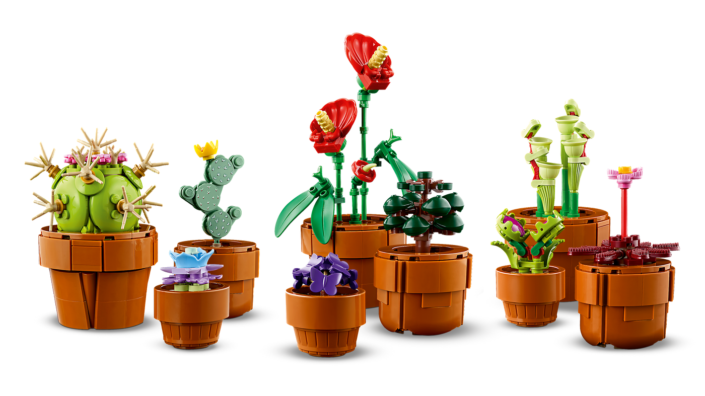 Tiny Plants_7