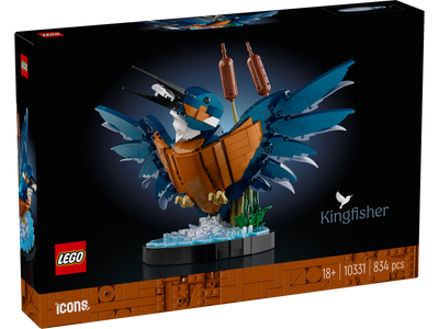 Kingfisher Bird_2