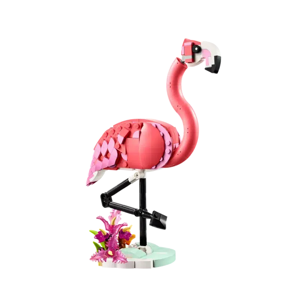 Wild Animal: Pink Flamingo