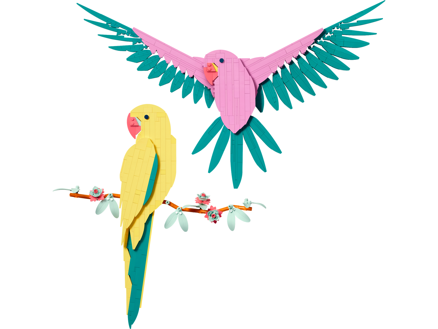 The Fauna Collection – Macaw Parrots_1