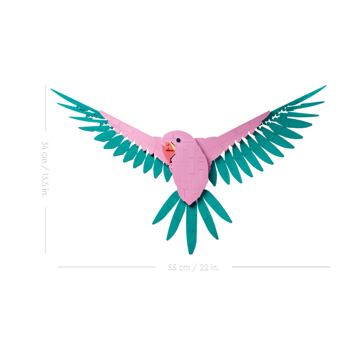 The Fauna Collection – Macaw Parrots_4