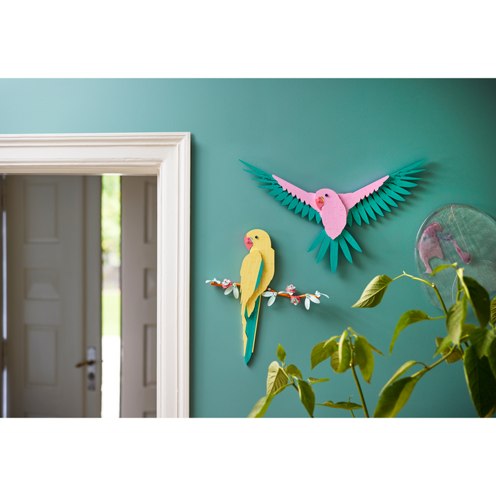 The Fauna Collection – Macaw Parrots_6