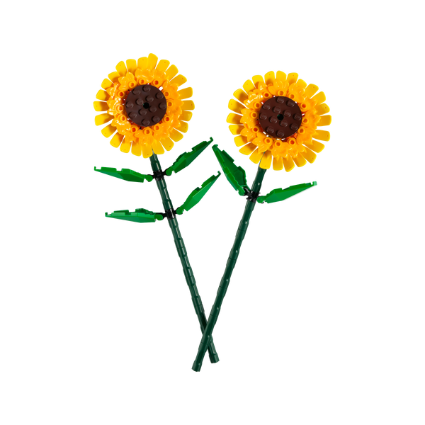 Sunflowers_1