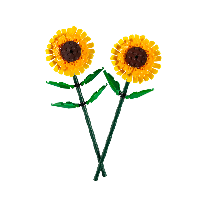 Sunflowers_1
