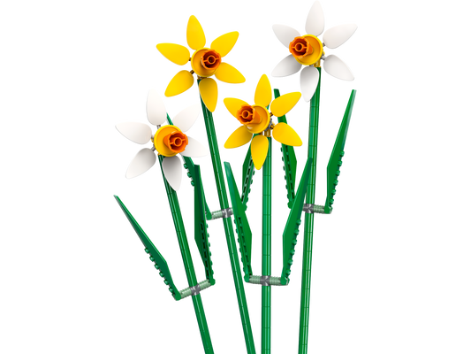 Daffodils_1