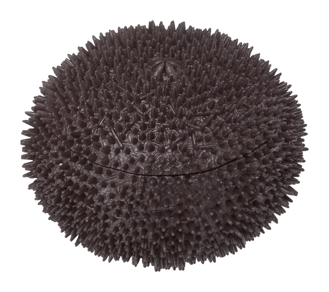 Sea Urchin Puzzle_4