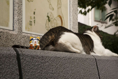 MEGA CAT PROJECT NARUTO-Nyaruto! Beckoning Cat FORTUNE_6