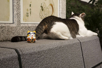 MEGA CAT PROJECT NARUTO-Nyaruto! Beckoning Cat FORTUNE_7