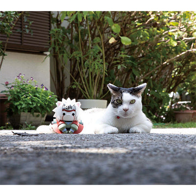MEGA CAT PROJECT NARUTO Nyanto! The Big Nyaruto Series (1) Jiraiya