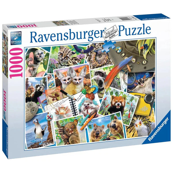 1000pc A Traveller Puzzle