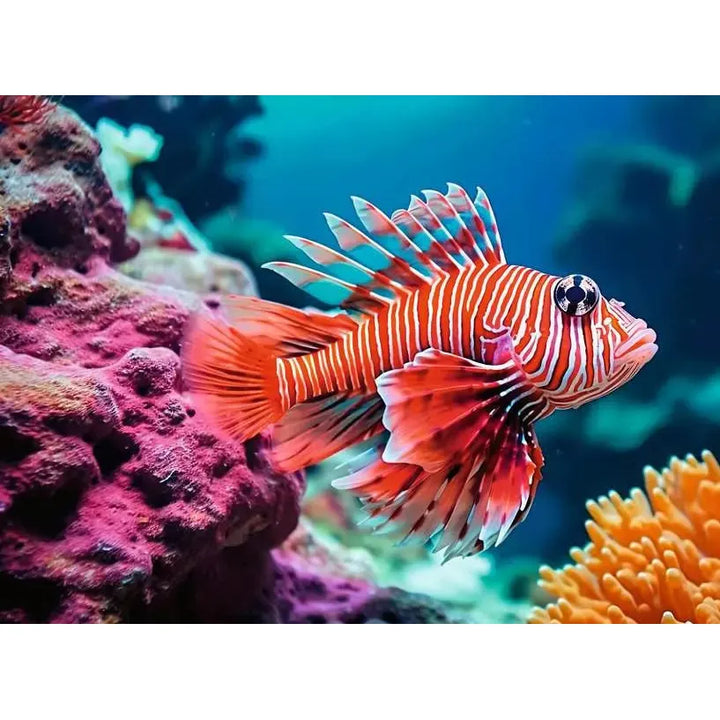 image2_500pc Red Lionfish Puzzle
