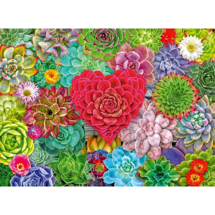 image2_500pc Succulent Love Puzzle