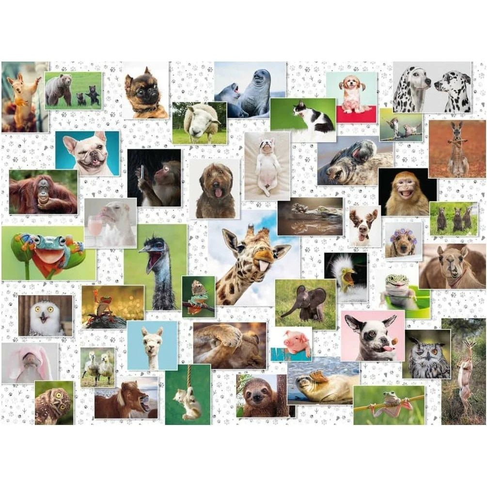 1500pc Funny Animals Puzzle