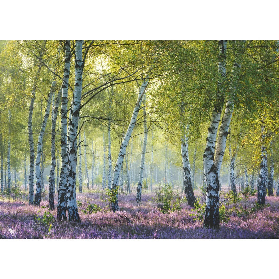 1000pc Birch Forest Puzzle