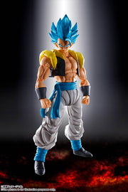 [Limited] S.H.Figuarts Super Saiyan God Super Saiyan Gogeta Exclusive Edition