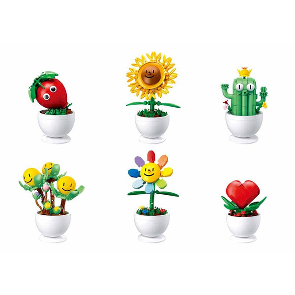 Potted Plants and Flowers