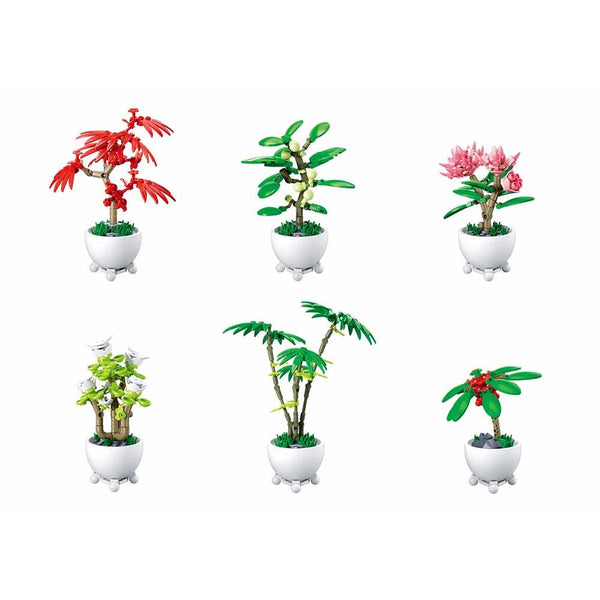 Potted Plants Life