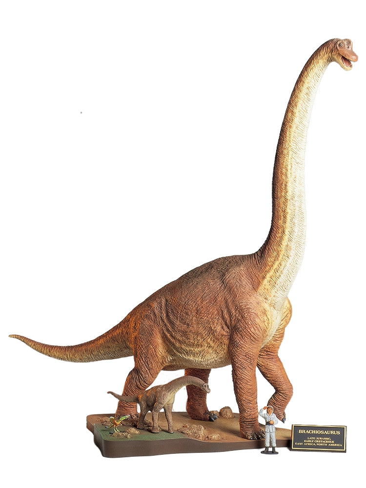 1/35 Brachiosaurus Diorama Set