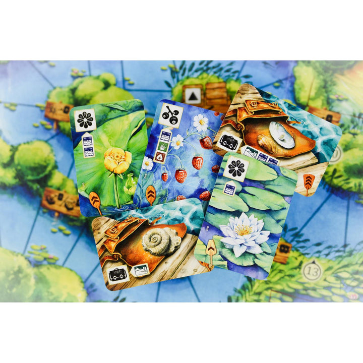 Meadow Downstream Expansion