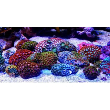 Aqua Gel 56gm