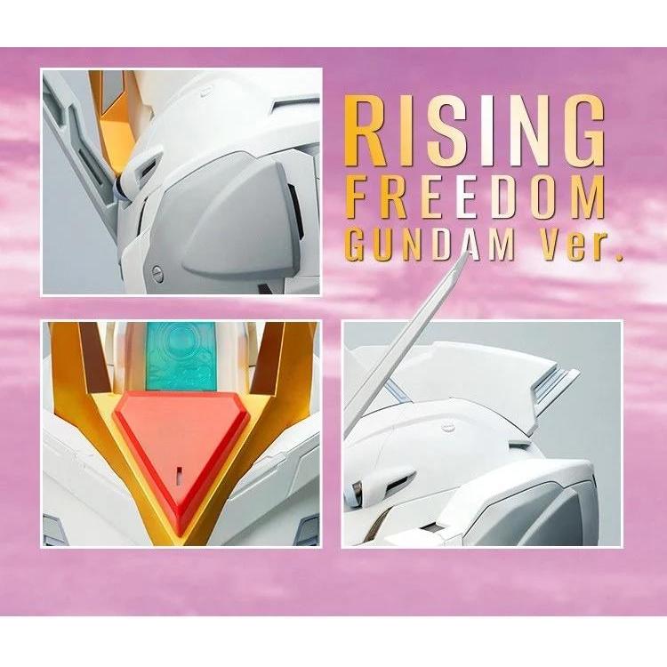 BN Head Collection Rising Freedom Gundam