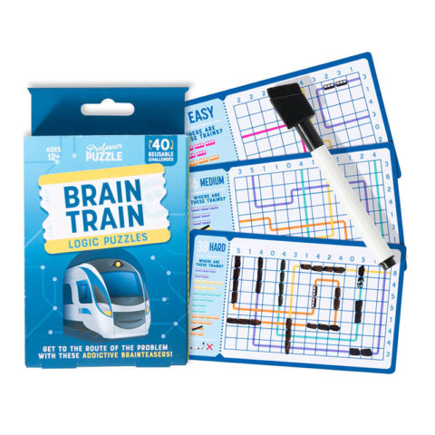 image3_Brain Train Logic Puzzle