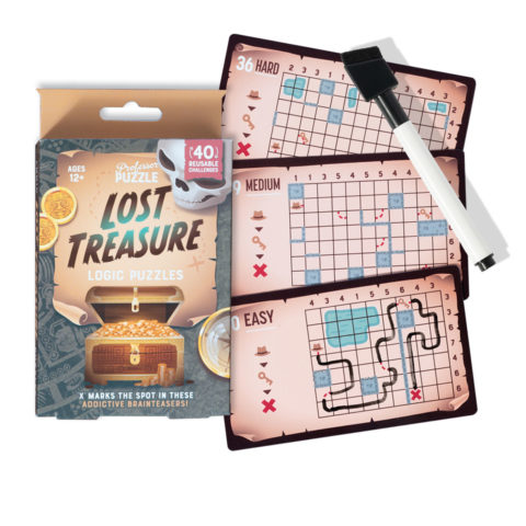 image4_Brain Train Logic Puzzle