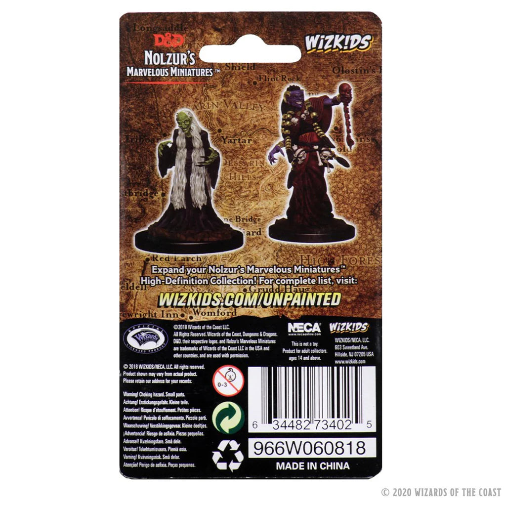 D&D Nolzur's Marvelous Unpainted Miniatures: Green Hag & Night Hag