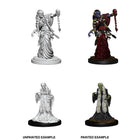 image1_D&D Nolzur's Marvelous Unpainted Miniatures: Green Hag & Night Hag