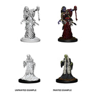 D&D Nolzur's Marvelous Unpainted Miniatures: Green Hag & Night Hag