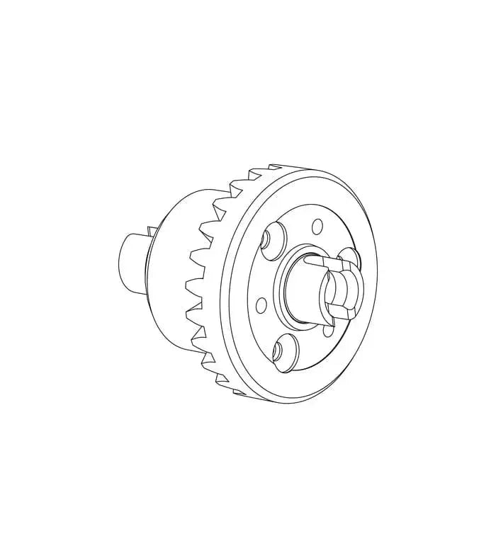 Differential Gear (20208)