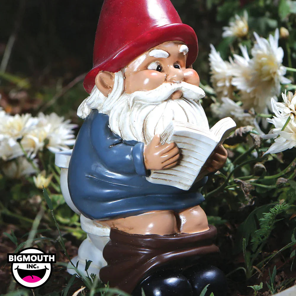 Garden Gnome On A Throne