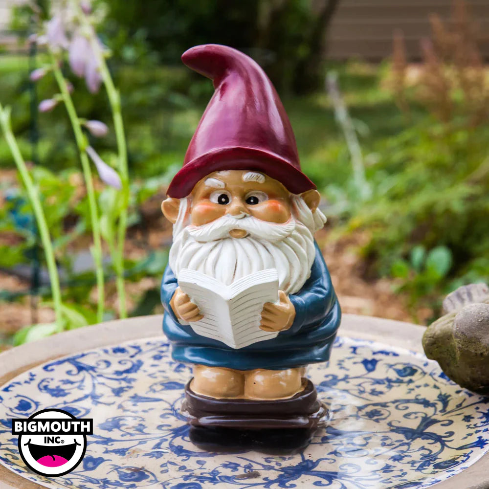 Garden Gnome On A Throne