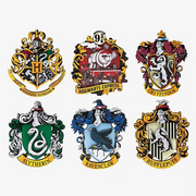 Harry Potter Collectible Fridge Magnet Blind Box 1pc