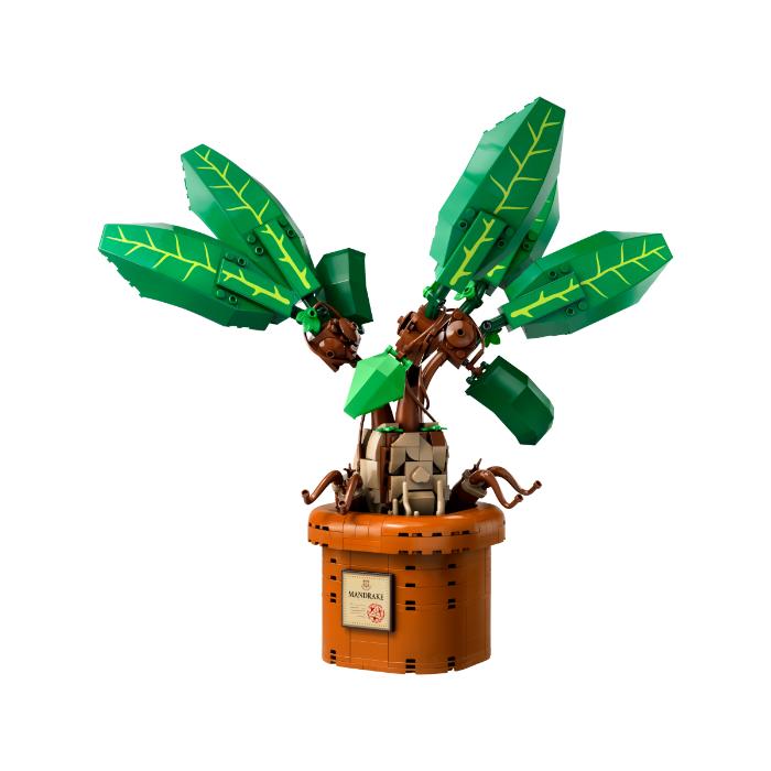 HARRY POTTER - Mandrake