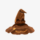 image2_Harry Potter Talking Sorting Hat