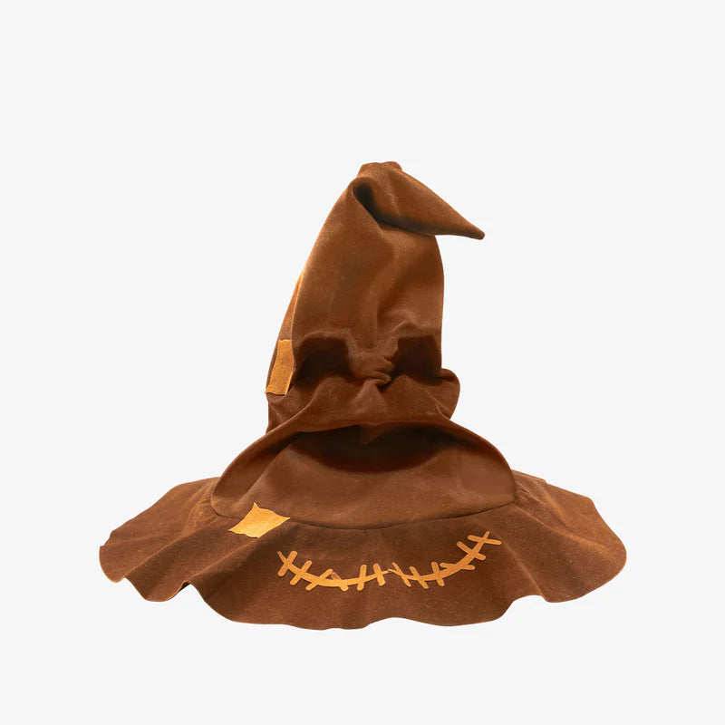 image2_Harry Potter Talking Sorting Hat