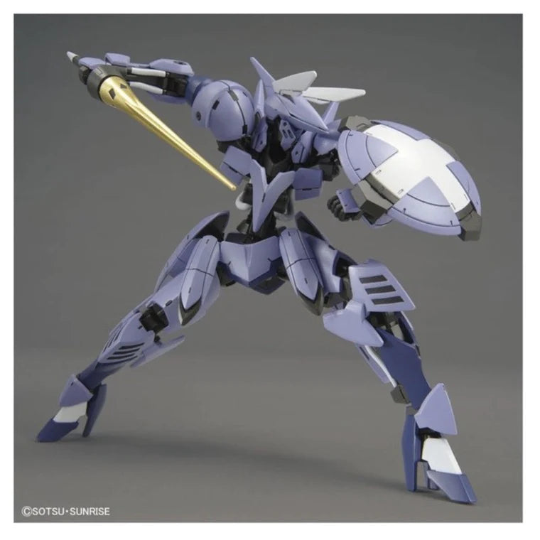 HG 1/144 SIGR N