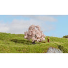 image2_HO Cherry Blossom Tree 6cm