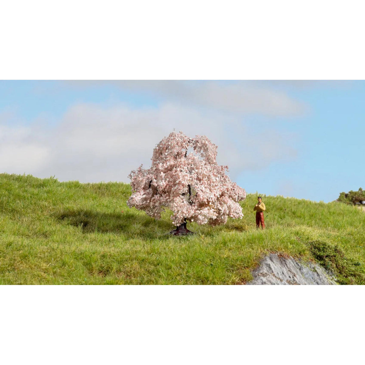 image2_HO Cherry Blossom Tree 6cm