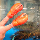 Lobster Claw Finger Puppets